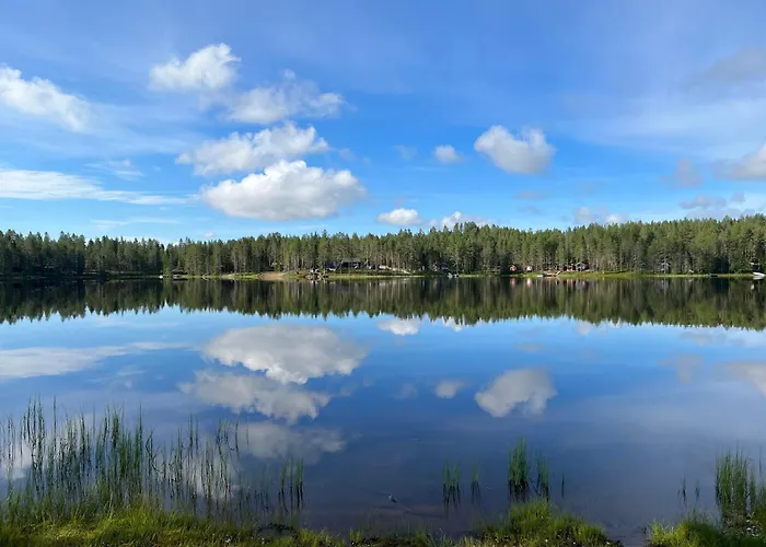 Maentyharju-moekki Syöte