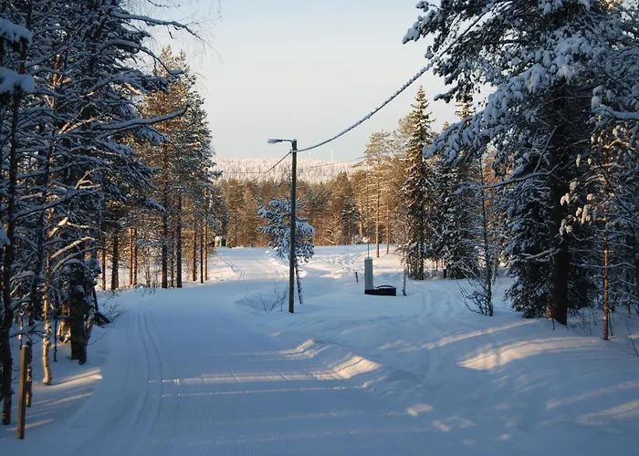 Maentyharju-moekki Syöte